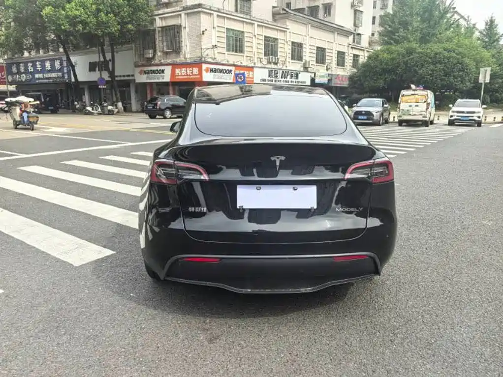 Tesla Model Y — миниатюра 4