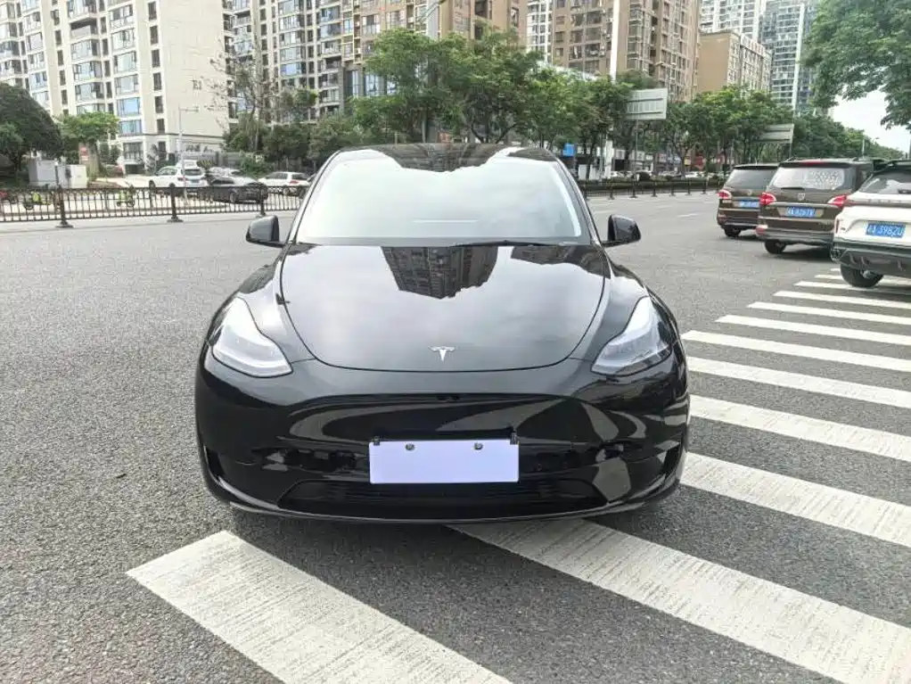 Tesla Model Y — миниатюра 2