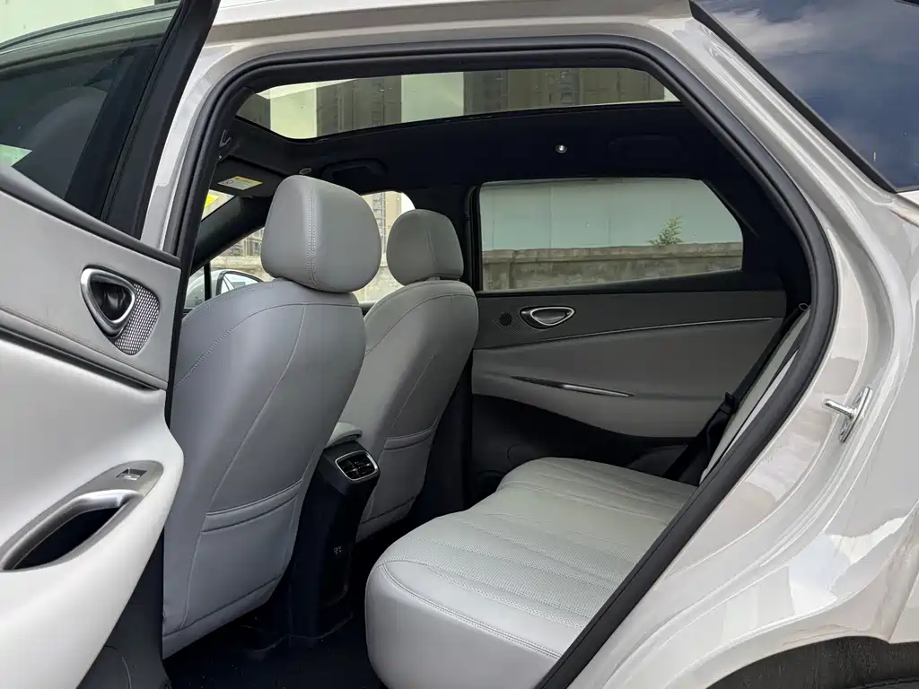 BYD Haisi 06 — миниатюра 12