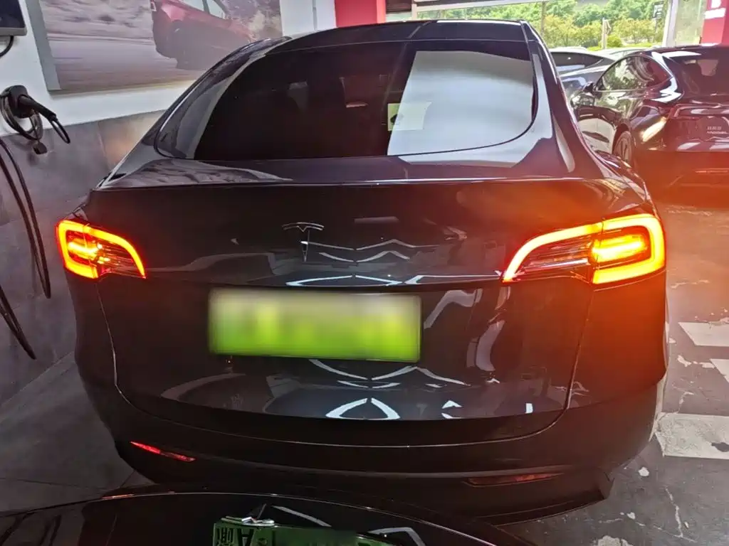 Tesla Model Y — миниатюра 6