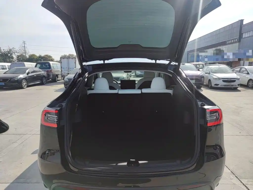 Tesla Model Y — миниатюра 19