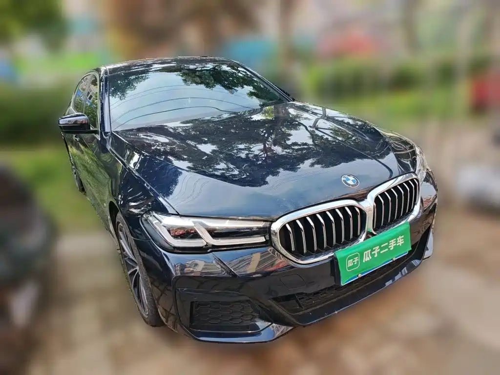 BMW 5 Series — миниатюра 24