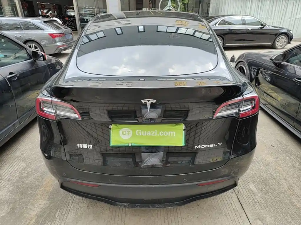 Tesla Model Y — миниатюра 6