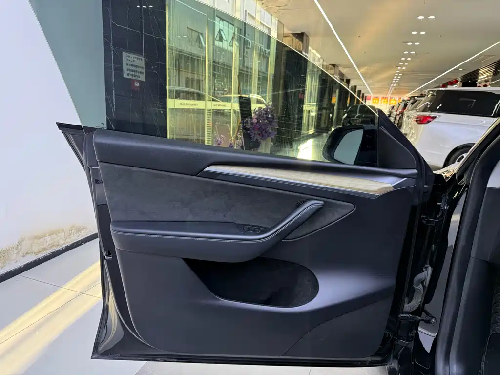 Tesla Model Y — миниатюра 8