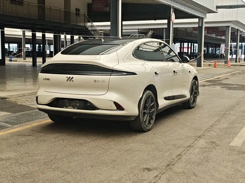 IM IM LS6 — миниатюра 12