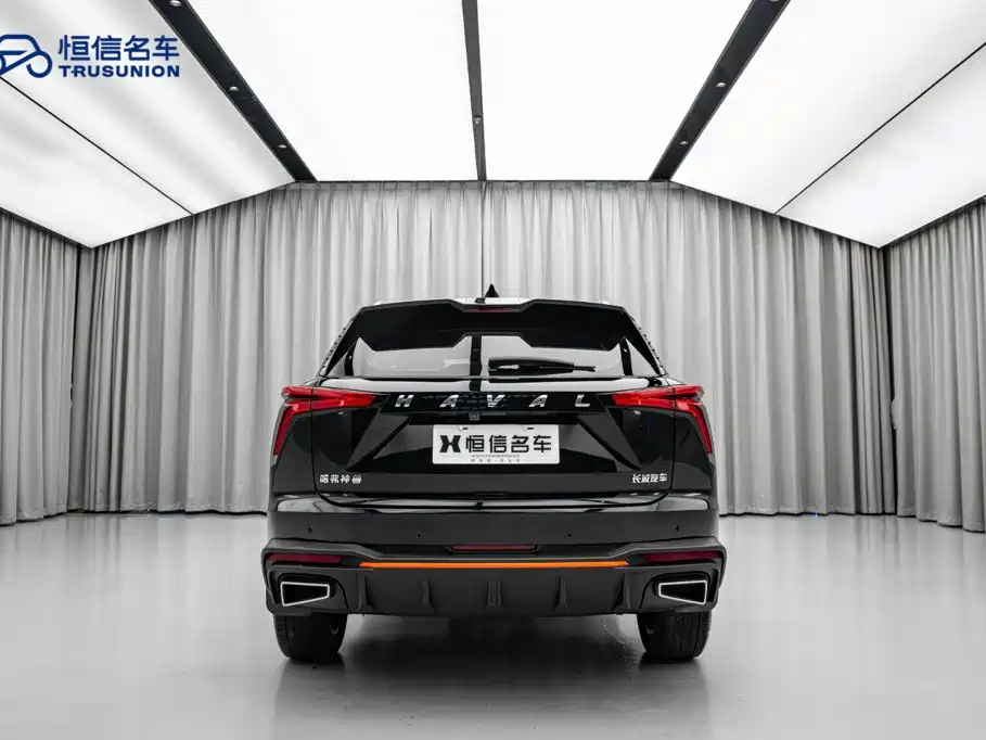 Haval Shenshou — миниатюра 10