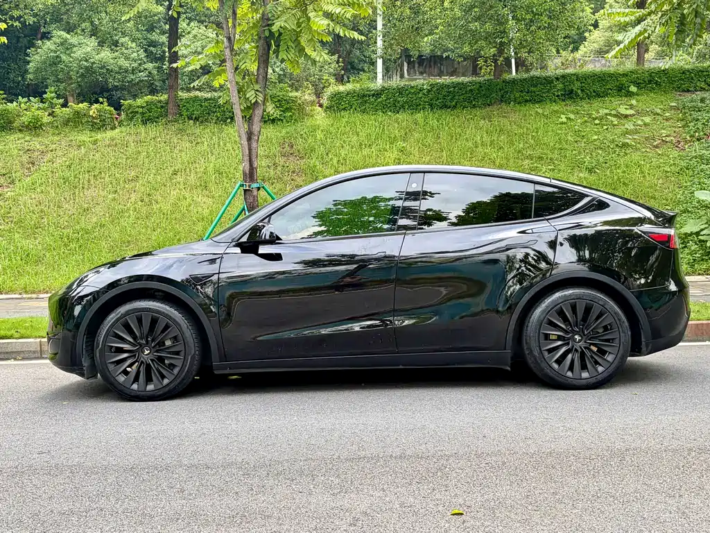 Tesla Model Y — миниатюра 2
