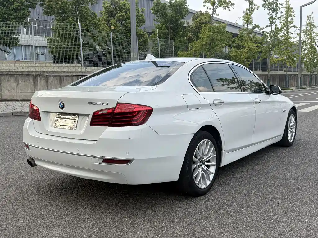 BMW 5 Series — миниатюра 5