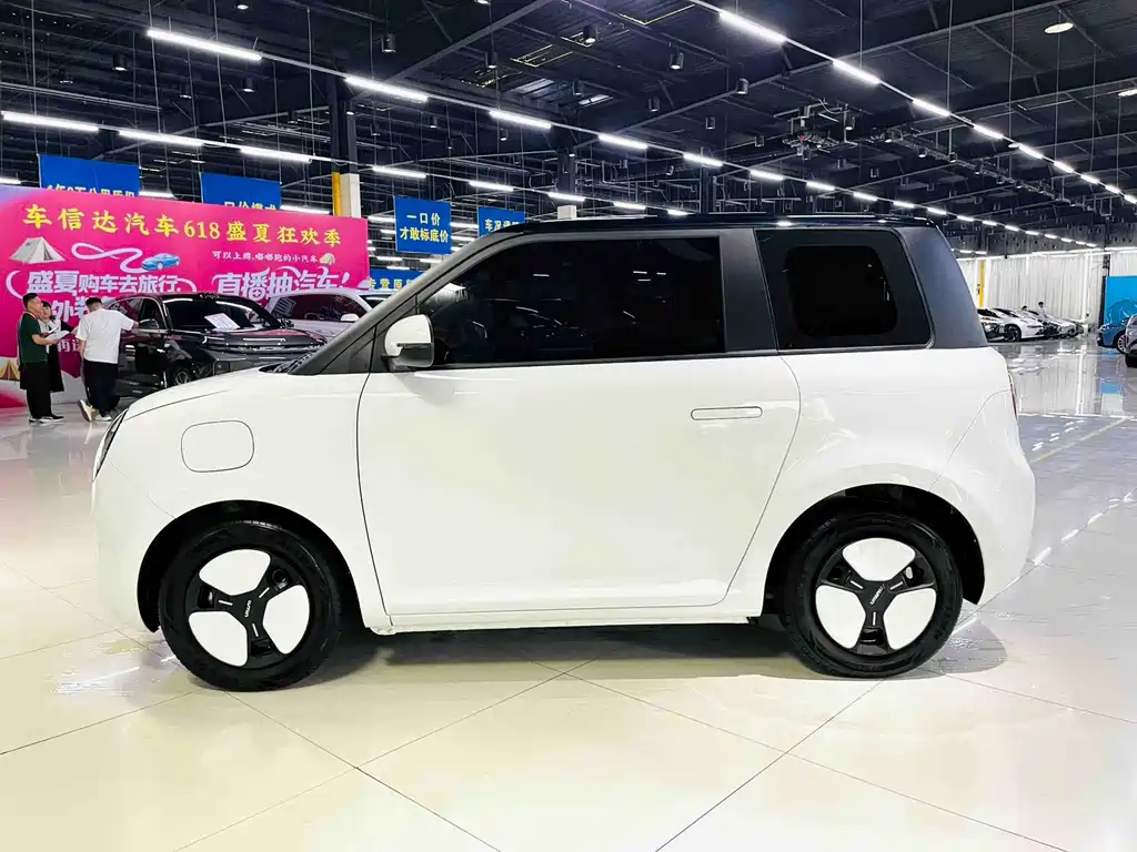 Qiyuan Lumin — миниатюра 5