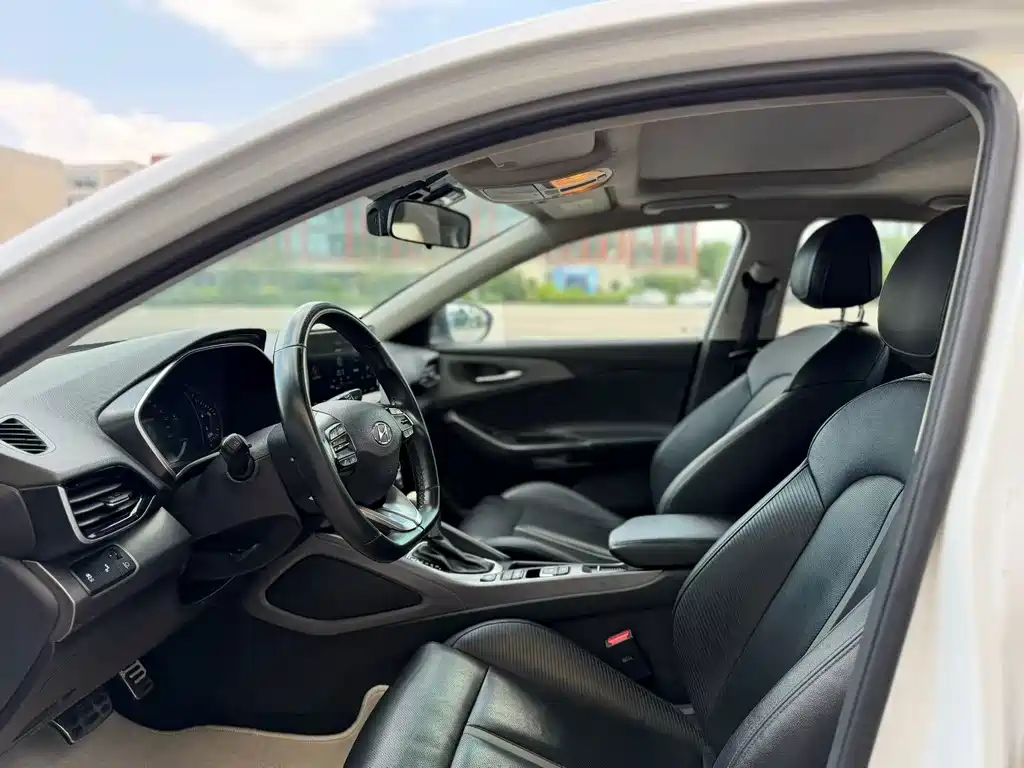 Hyundai Fista — миниатюра 4