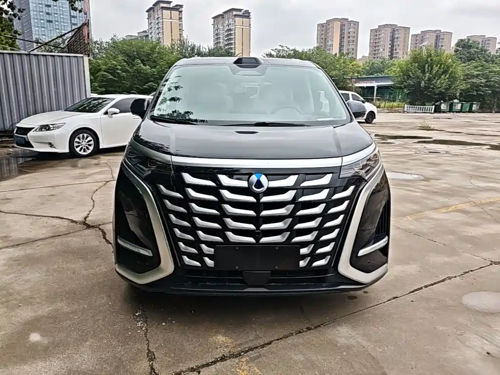 Denza Denza D9 — миниатюра 3