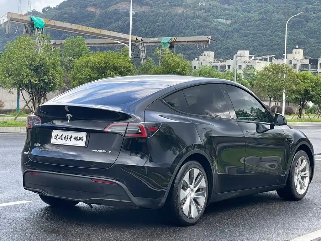 Tesla Model Y — миниатюра 12