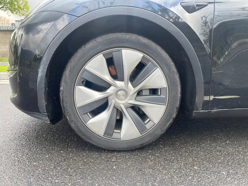 Tesla Model Y — миниатюра 5