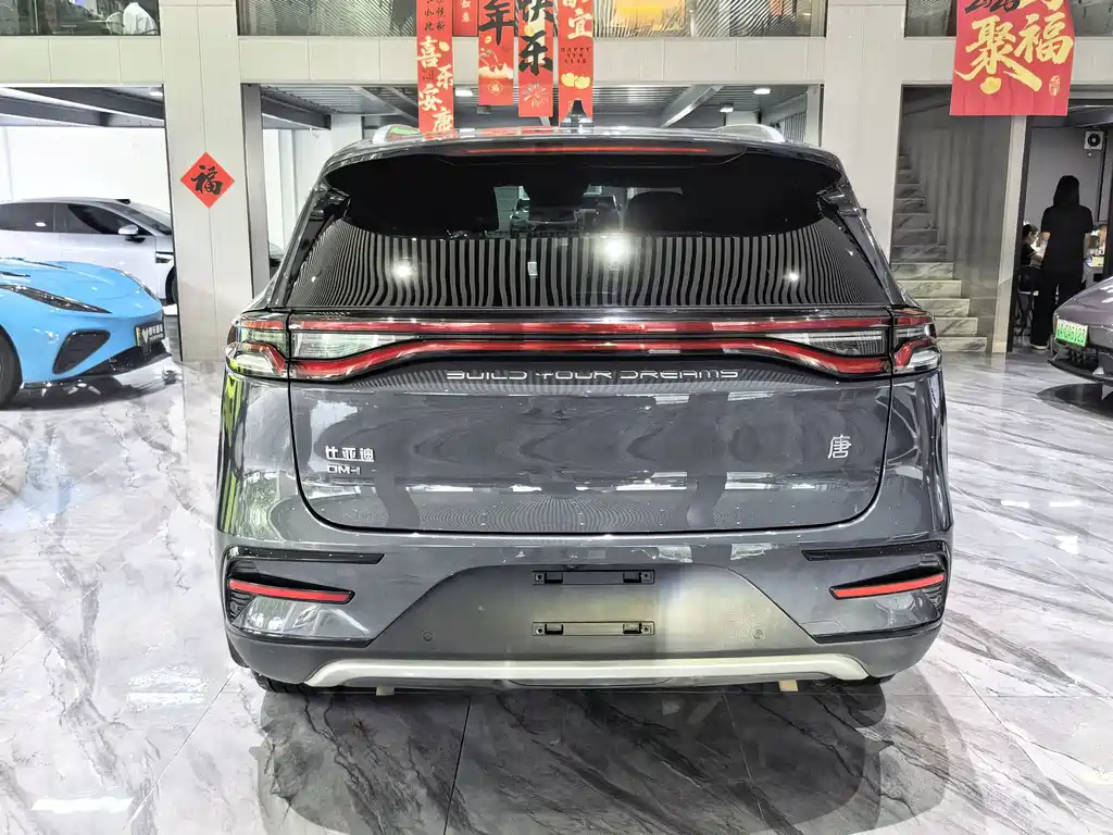 BYD Tang New Energy — миниатюра 23