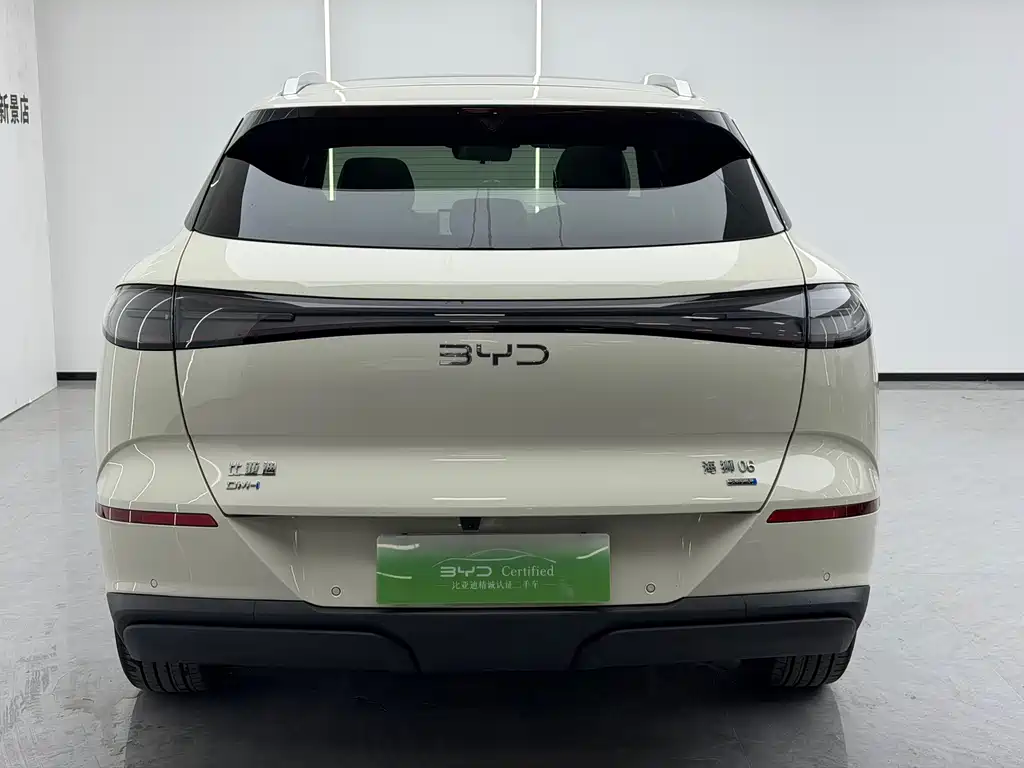BYD Haisi 06 — миниатюра 4