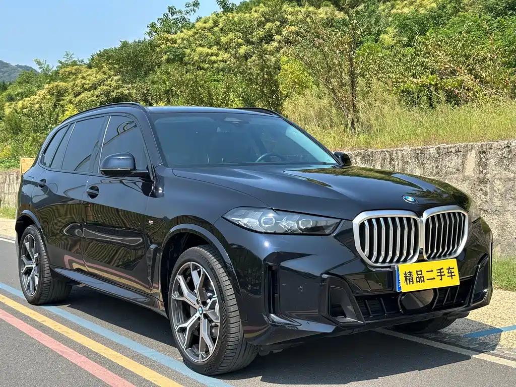 BMW X5 — миниатюра 3