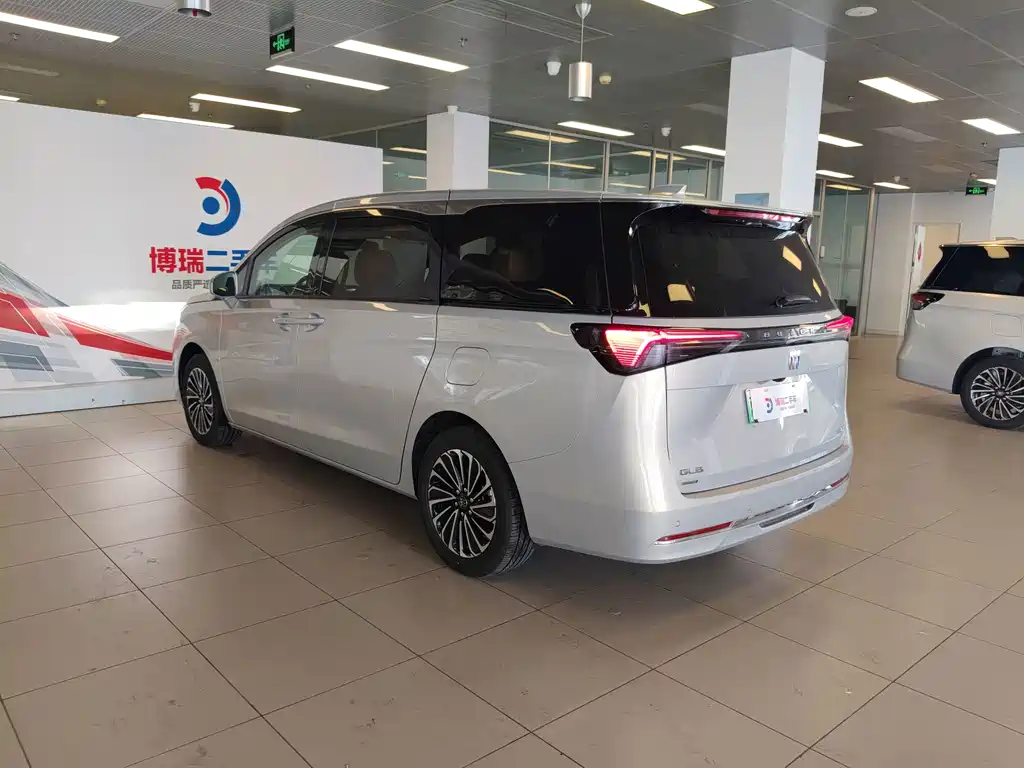 Buick GL8 Hybrid — миниатюра 26
