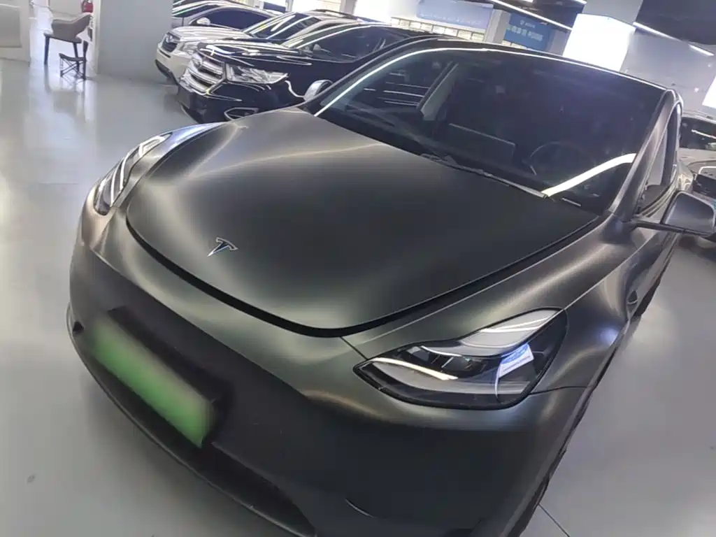 Tesla Model Y — миниатюра 2