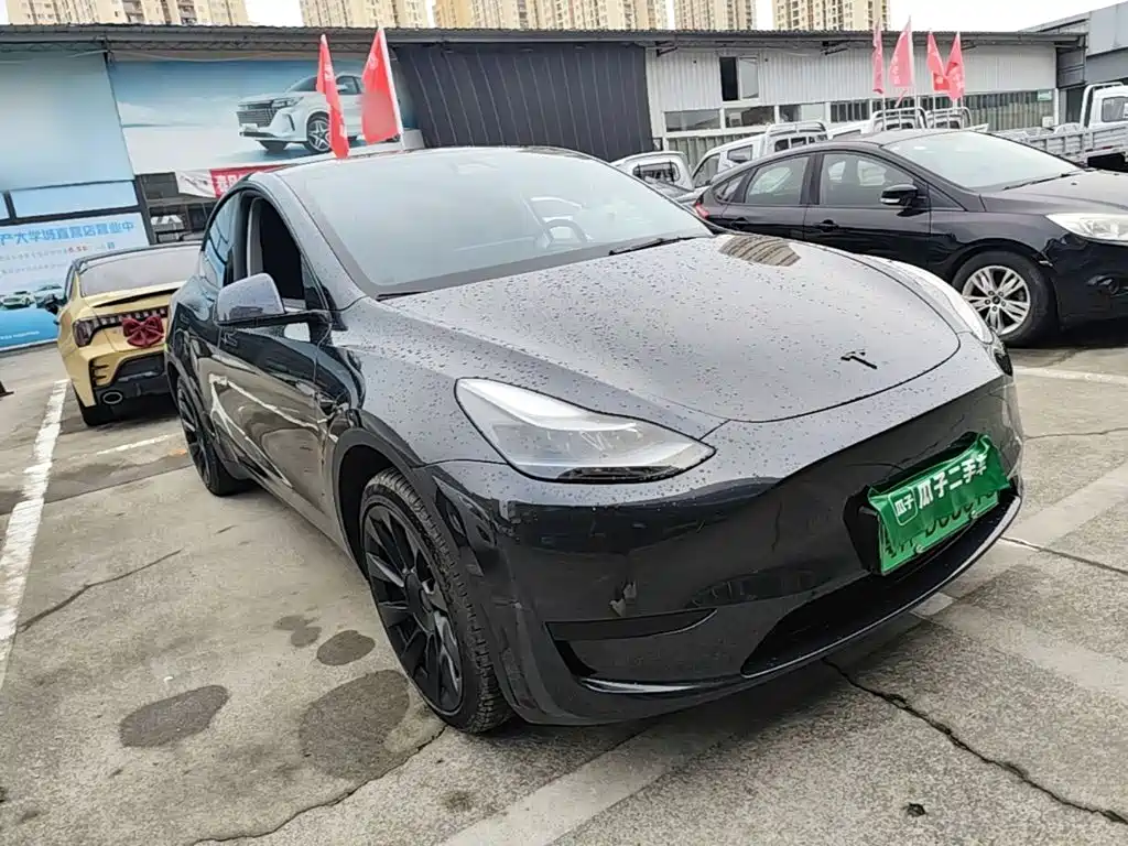 Tesla Model Y — миниатюра 4