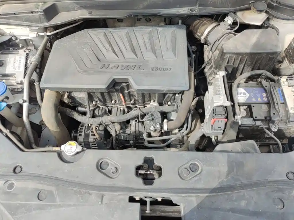 Haval H6 Coupe — миниатюра 20