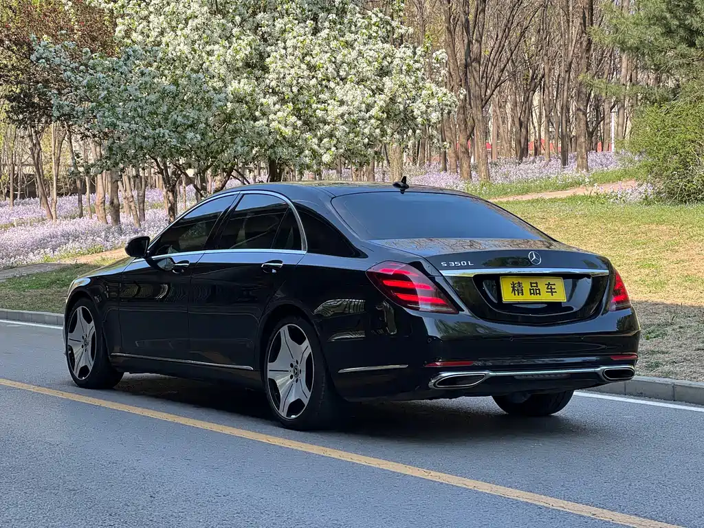 Mercedes-Benz S-Class — миниатюра 6