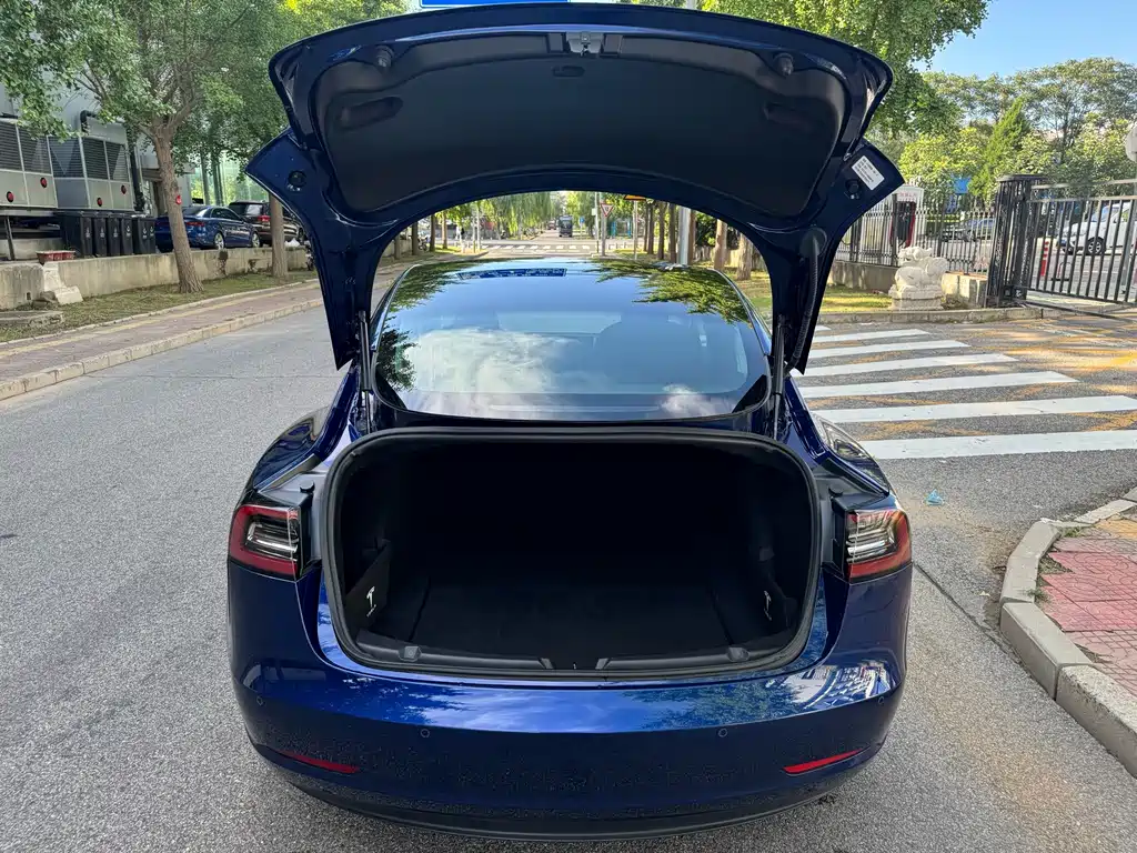 Tesla Model 3 — миниатюра 18