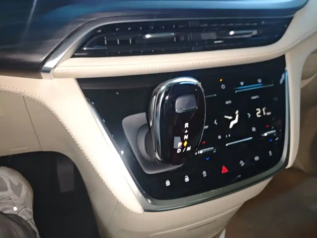 Buick GL8 — миниатюра 14