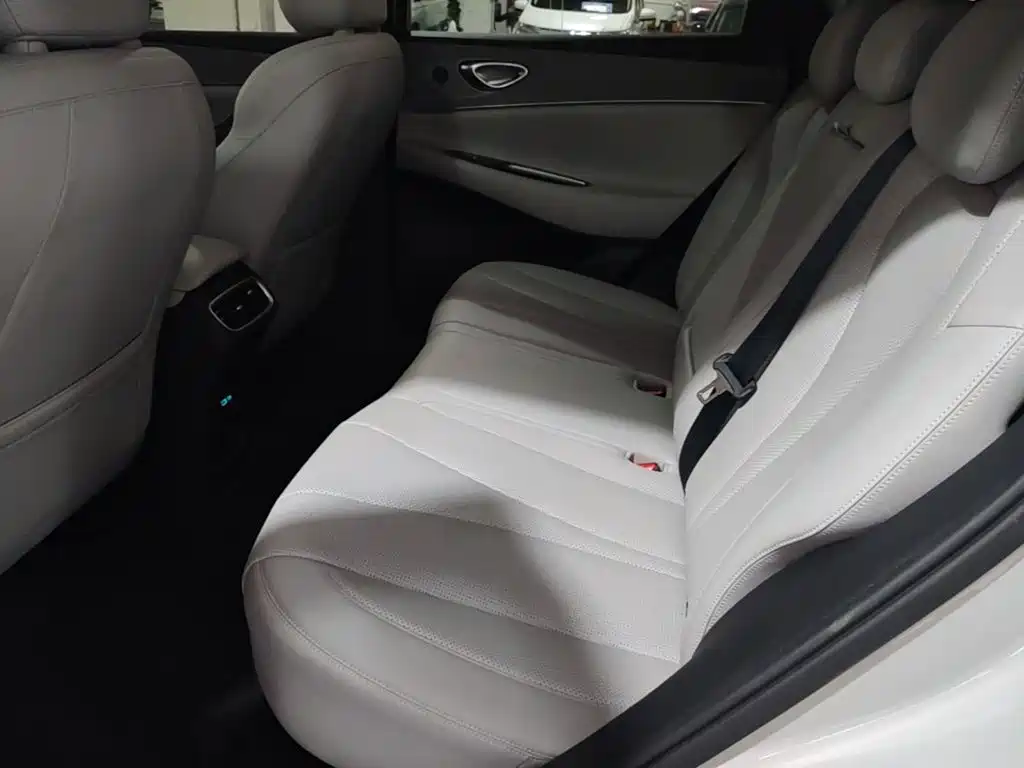 BYD Sealion 06 — миниатюра 17