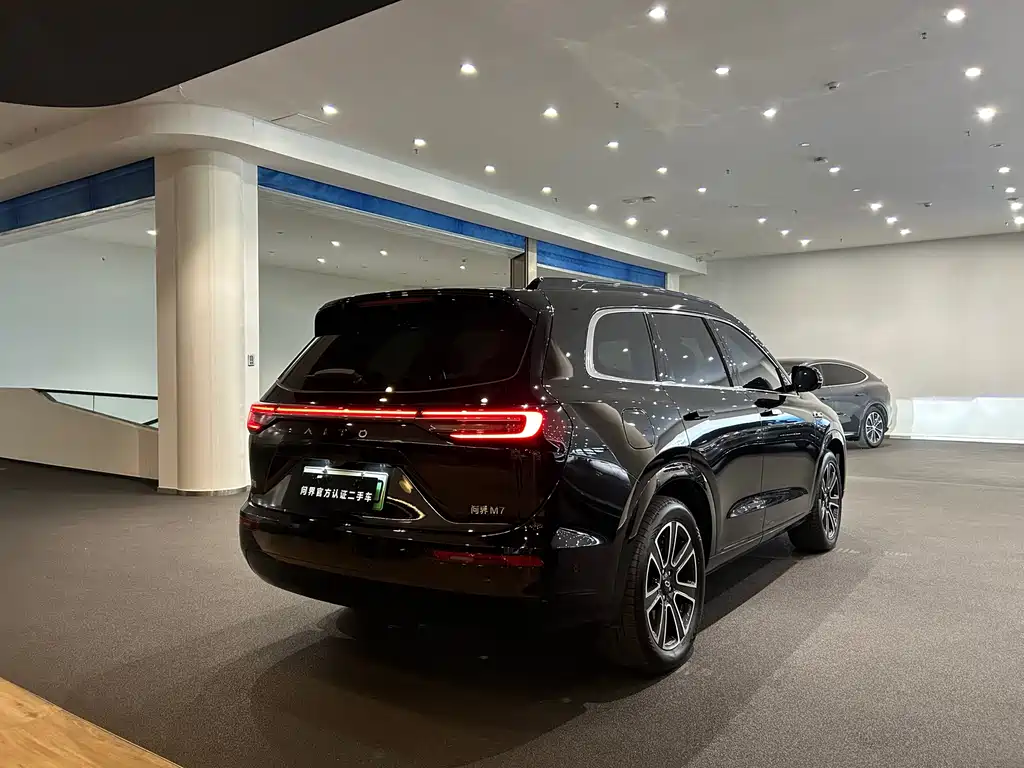 AITO Wenjie AITO M7 — миниатюра 20