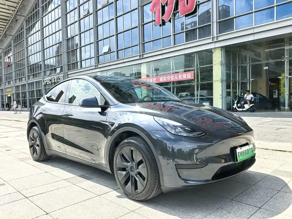 Tesla Model Y — миниатюра 3