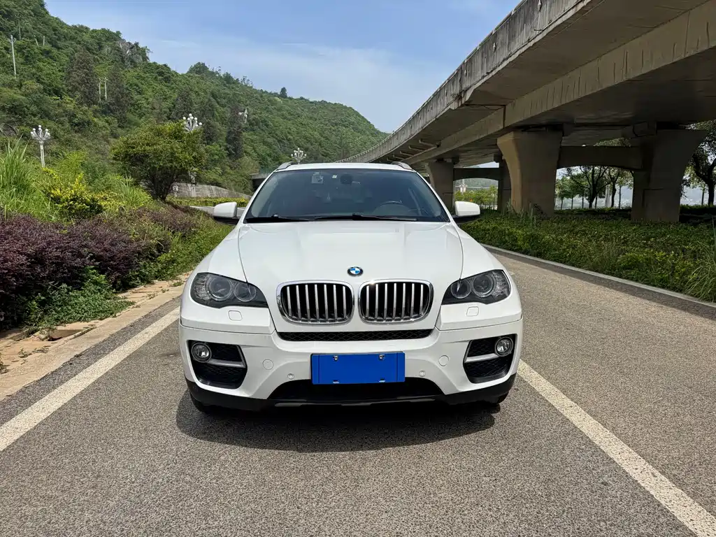 BMW X6 — миниатюра 8