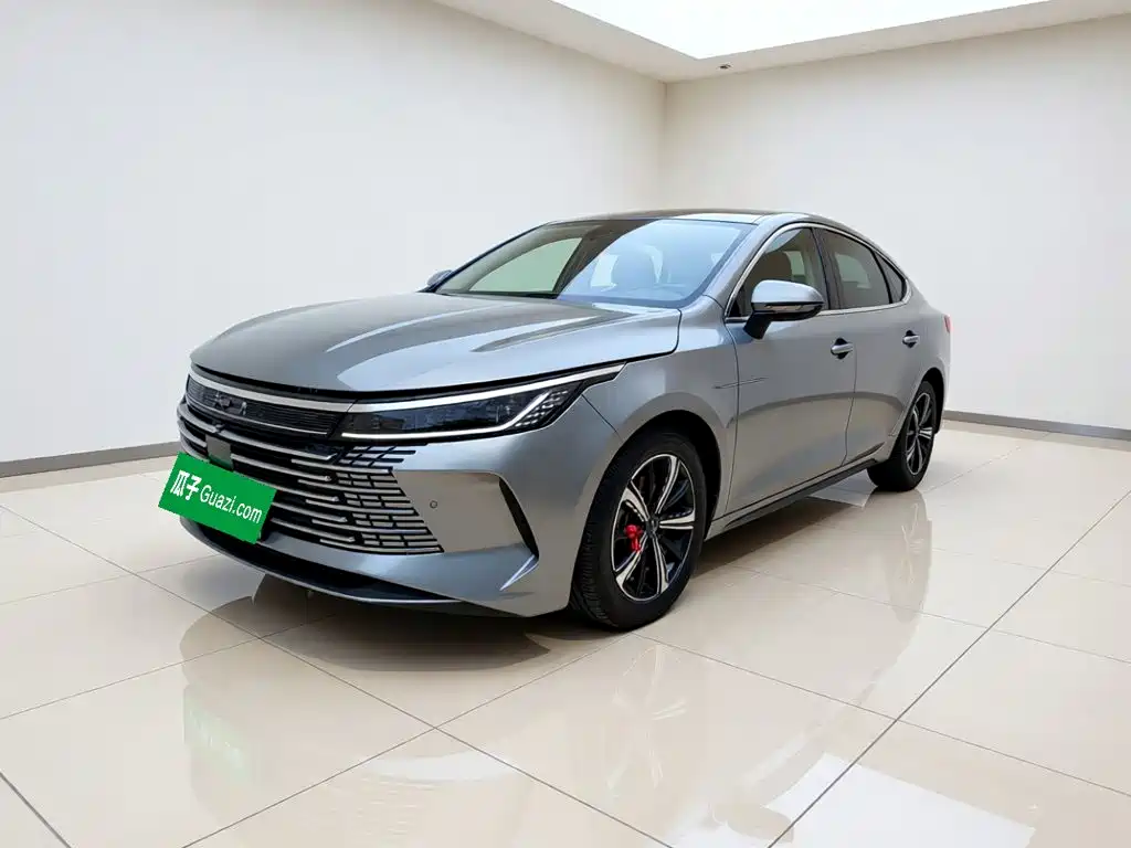 BYD Destroyer 05