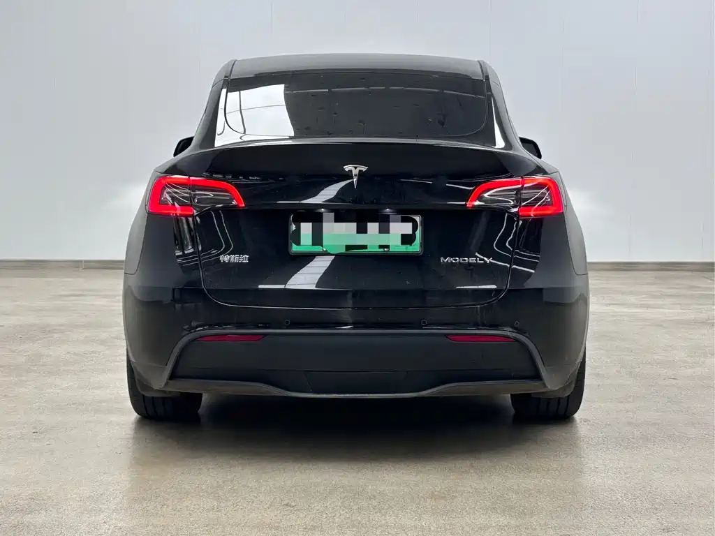 Tesla Model Y — миниатюра 5