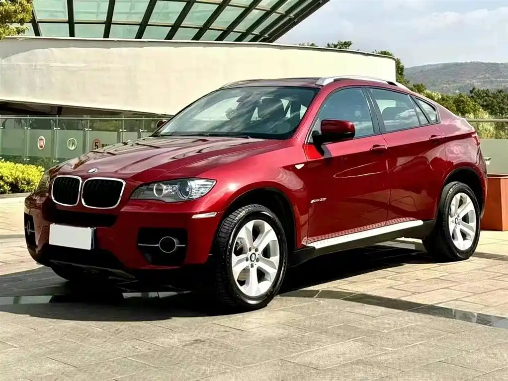 BMW X6 2010
