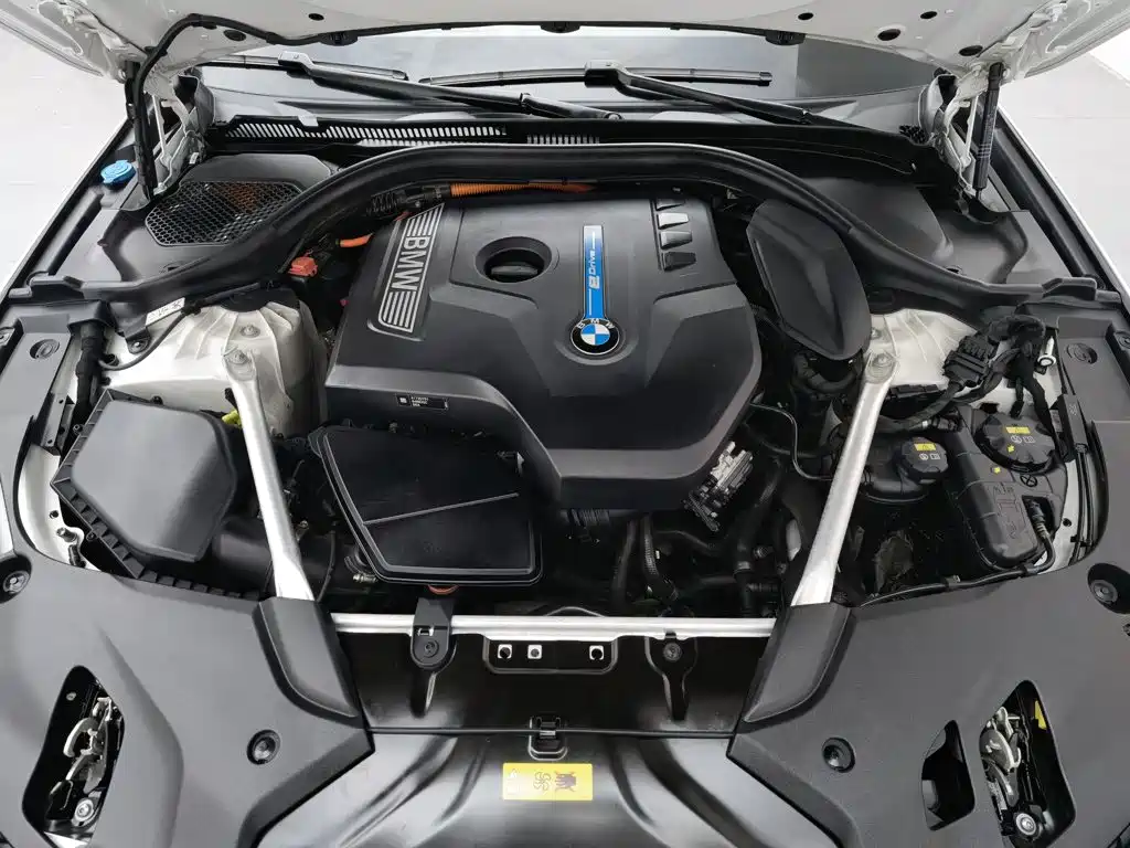 BMW 5 Series 5 2019 530Le Luxury