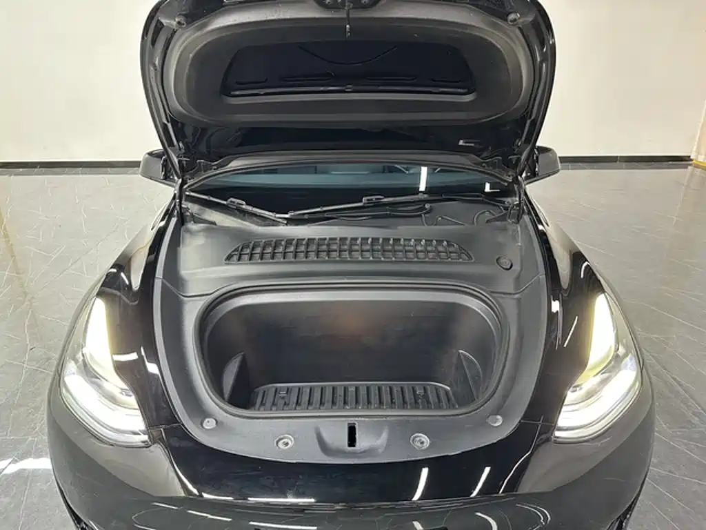 Tesla Model Y — миниатюра 12