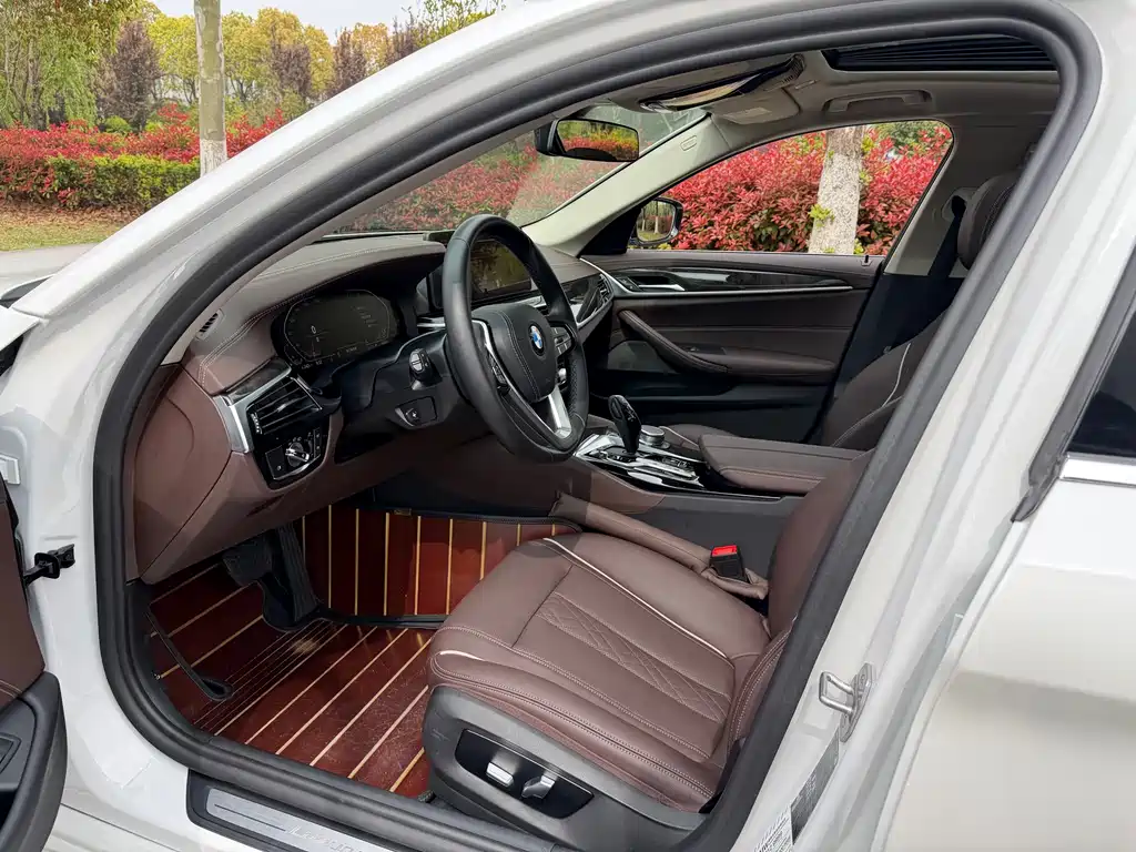BMW 5 Series 5 2021 525Li Luxury
