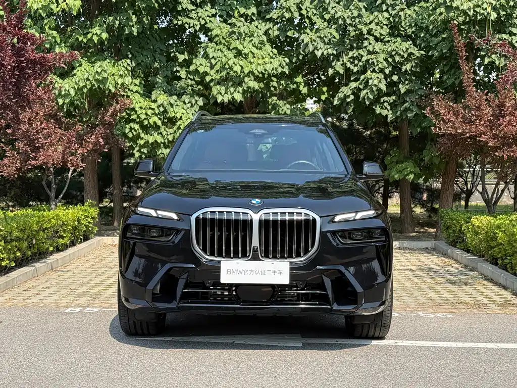 BMW X7 — миниатюра 5