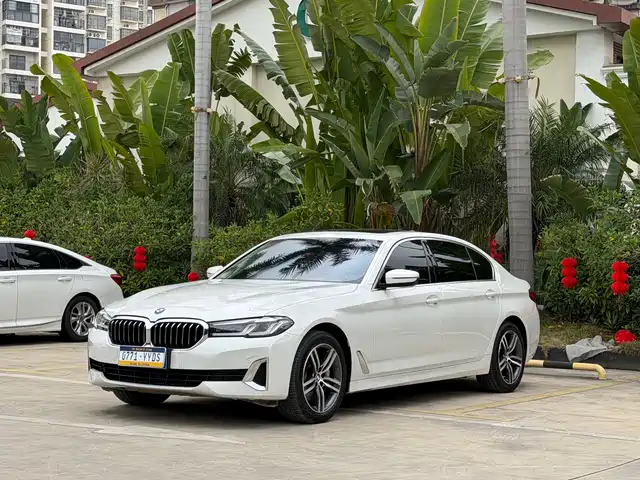 BMW 5 SERIES