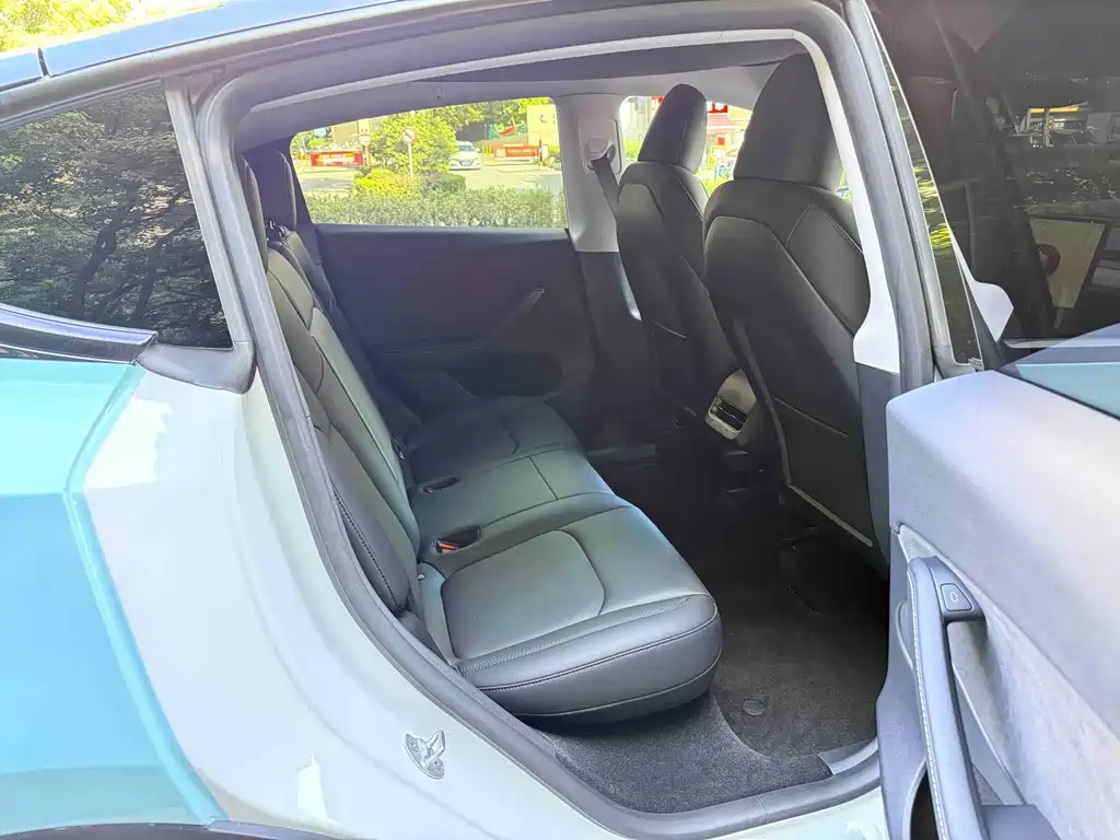 Tesla Model Y — миниатюра 12
