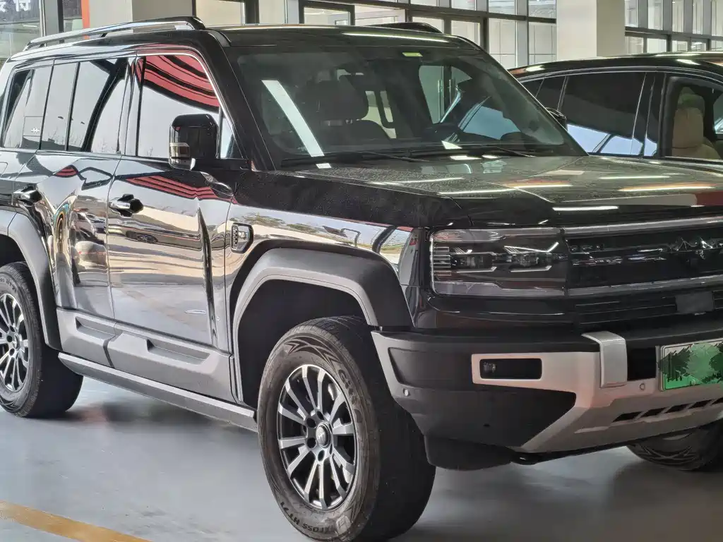 FANG CHENG BAO LEOPARD 5