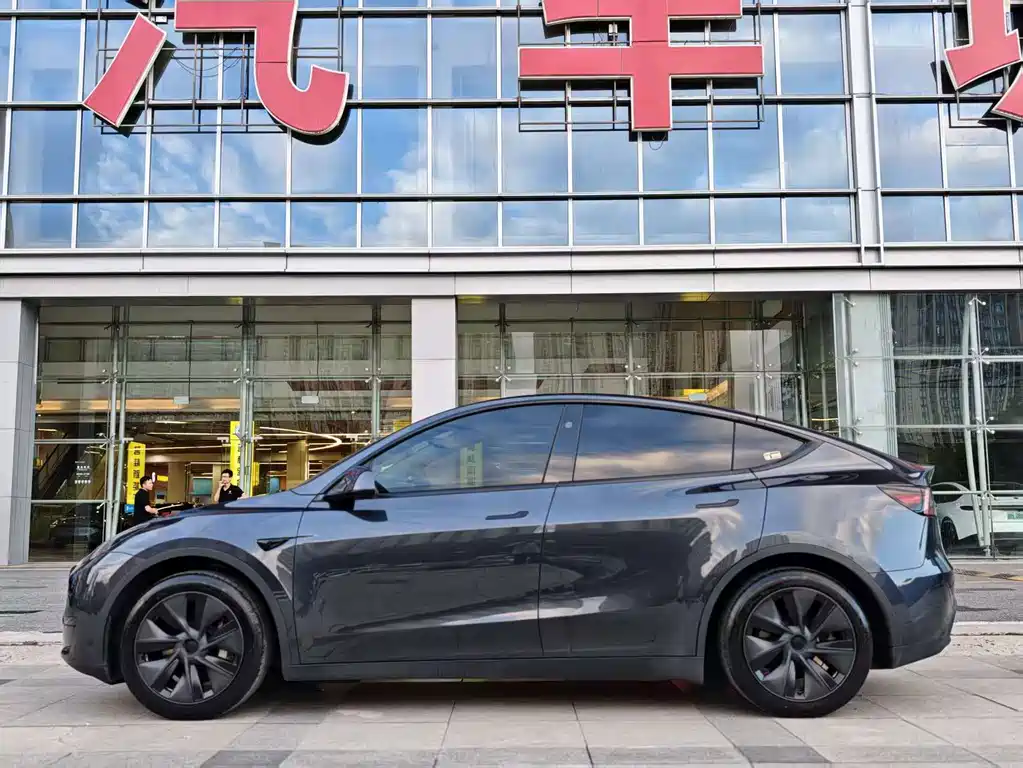 Tesla Model Y — миниатюра 4