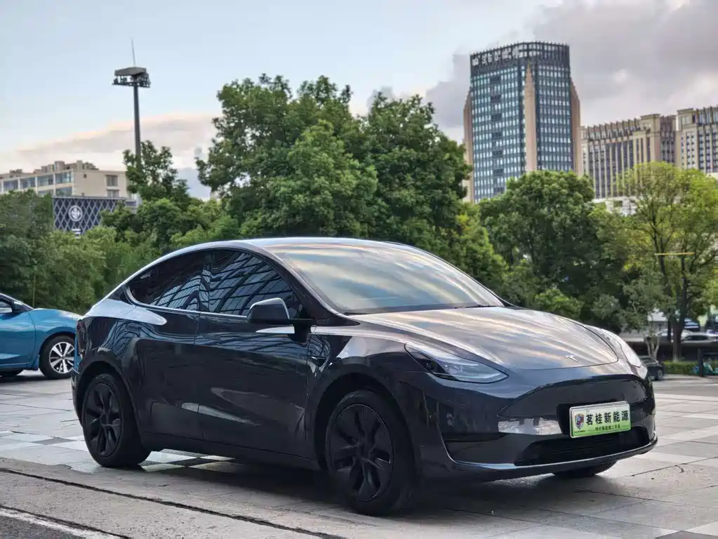 Tesla Model Y — миниатюра 3