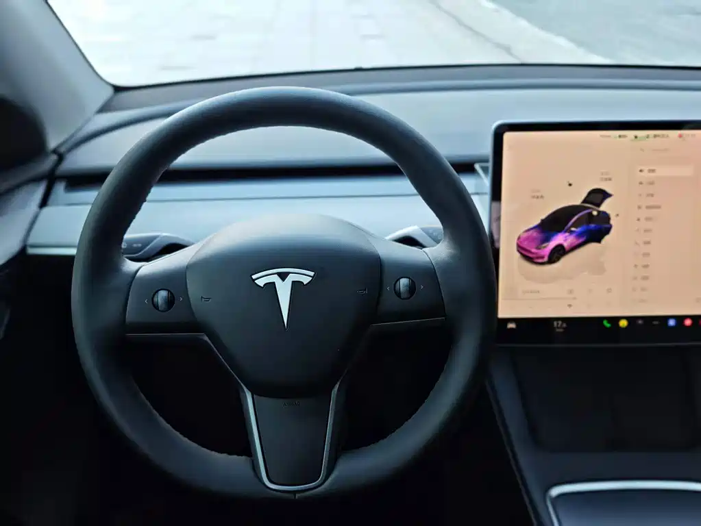 Tesla Model Y — миниатюра 15