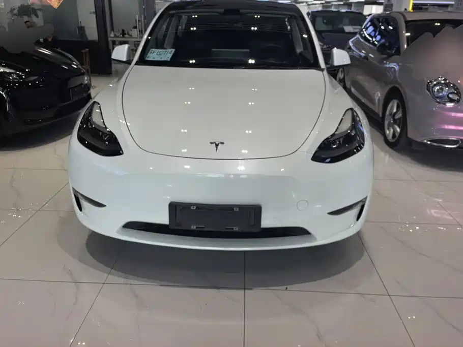 Tesla Model Y — миниатюра 2