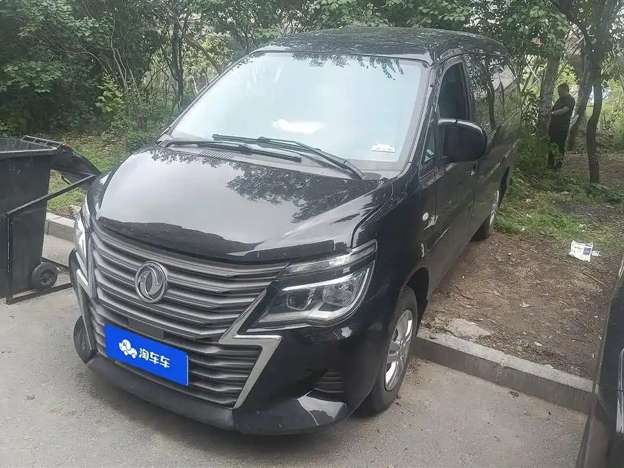 Купить Fengxing Lingzhi