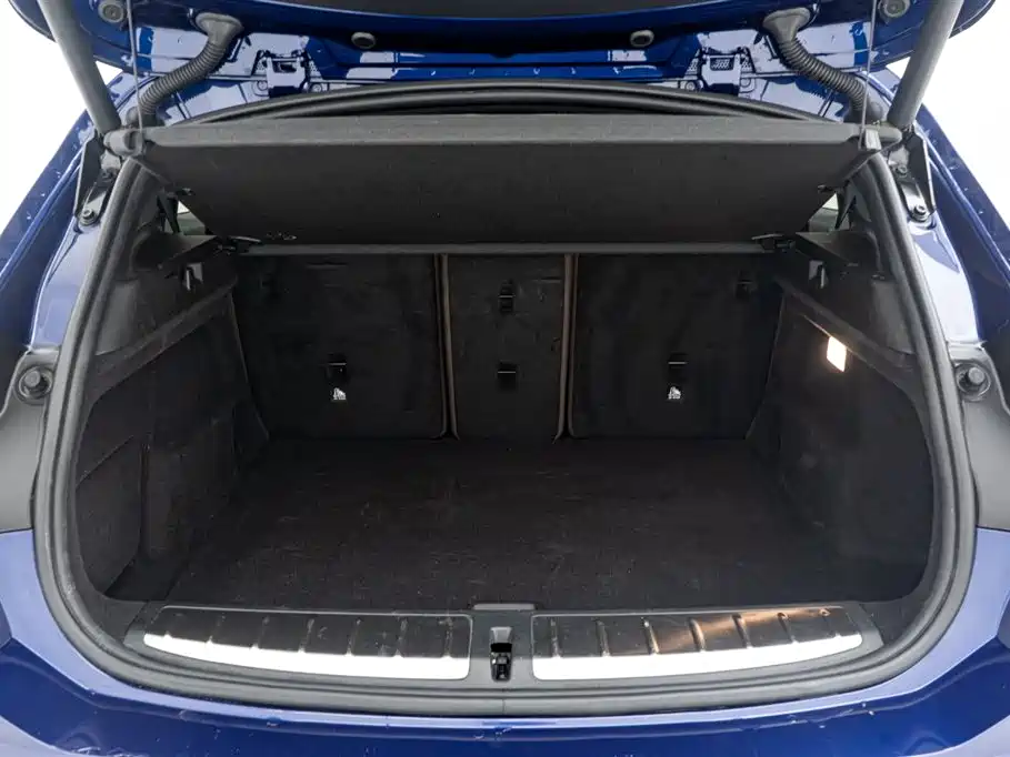 BMW X2 sDrive25i Leading Type M Sport Package, фото 14