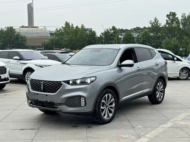2020 Wey VV6
