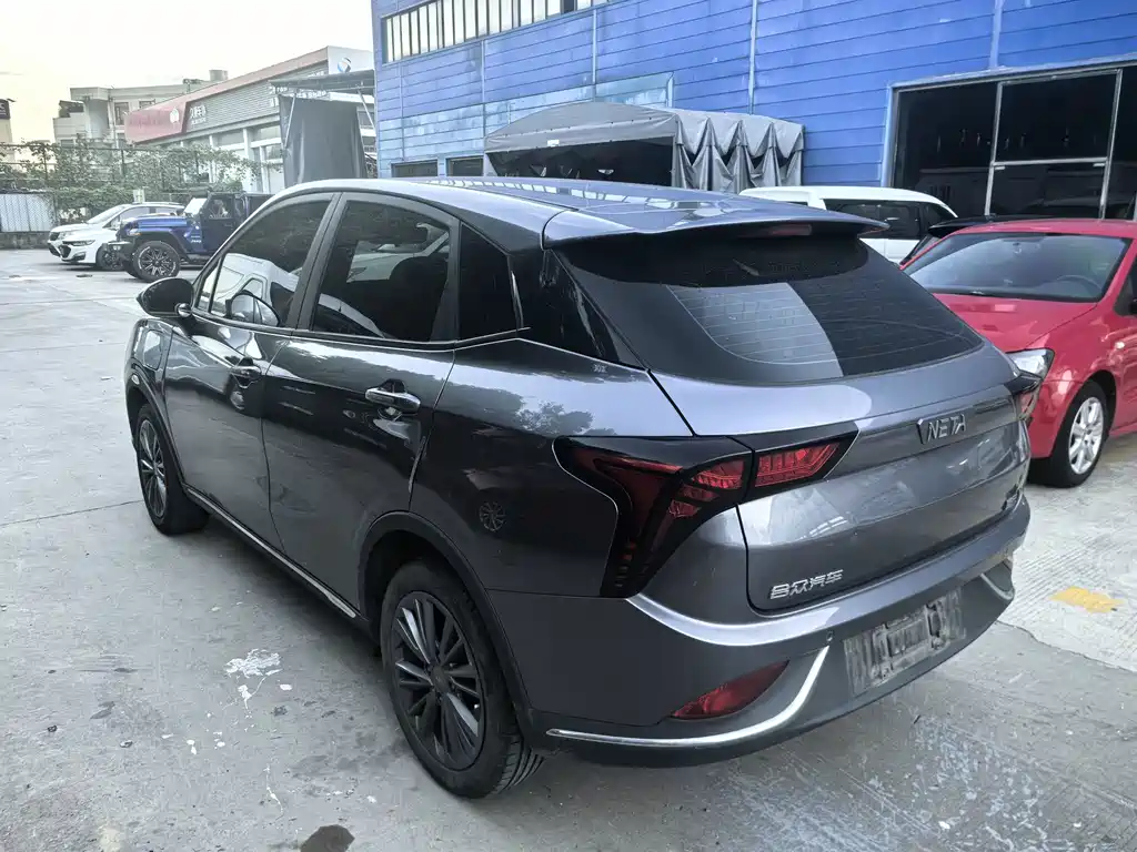 Neta Neta V — миниатюра 8