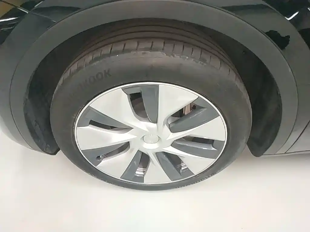 Tesla Model Y — миниатюра 23